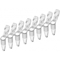 ПЦР-стрипы и пробирки Eppendorf ПЦР-стрипы и пробирки Eppendorf