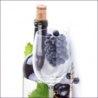 Наборы Megazyme для контроля винодельческой продукции