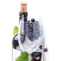 Наборы Megazyme для контроля винодельческой продукции