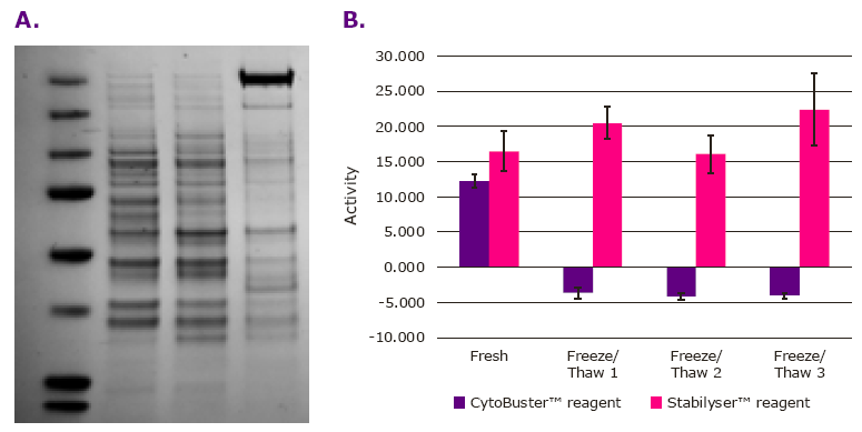 Stabilyser™ Reagent : Стабилизация ДНК, РНК и белков в тканевых экстрактах