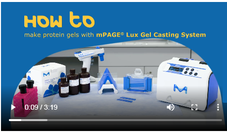 mPAGE ®  Lux Casting System Система ускоренной отливки гелей с использованием УФ отвердевания