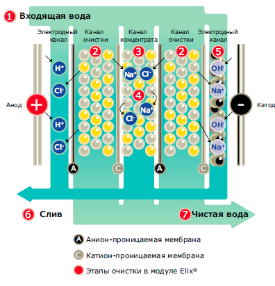 модуль электродеионизации Elix®, в котором ионообменные смолы непрерывно регенерируются в слабом электрическом поле. 